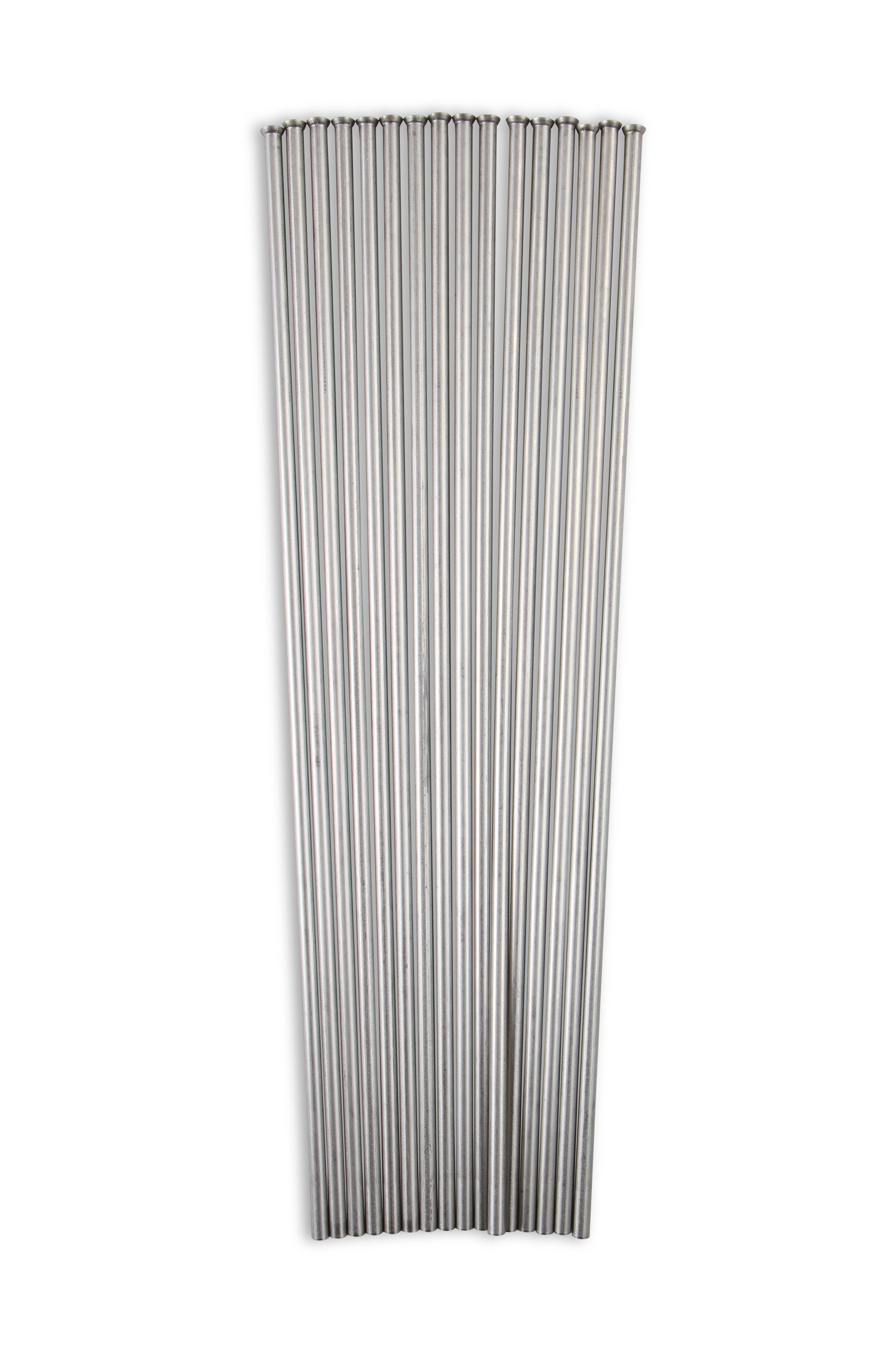 02464nos_18.jpg