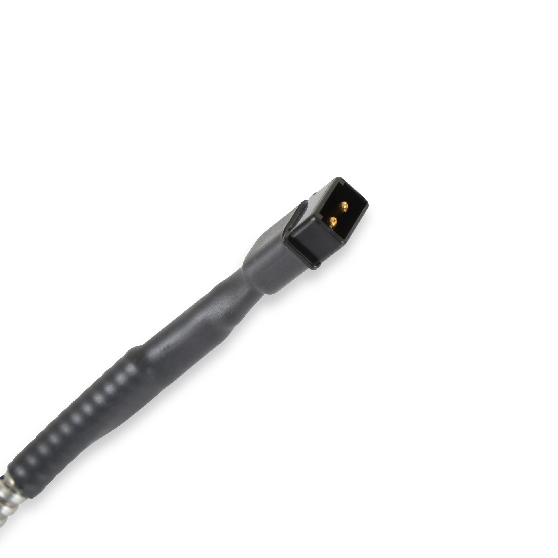 8154_03.jpg