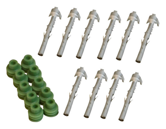 8191.jpg