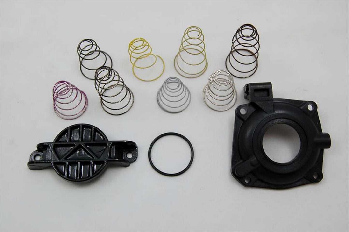 AED5585.jpg
