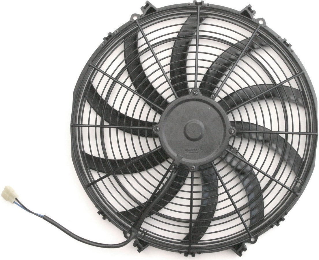 AFC80177.jpg