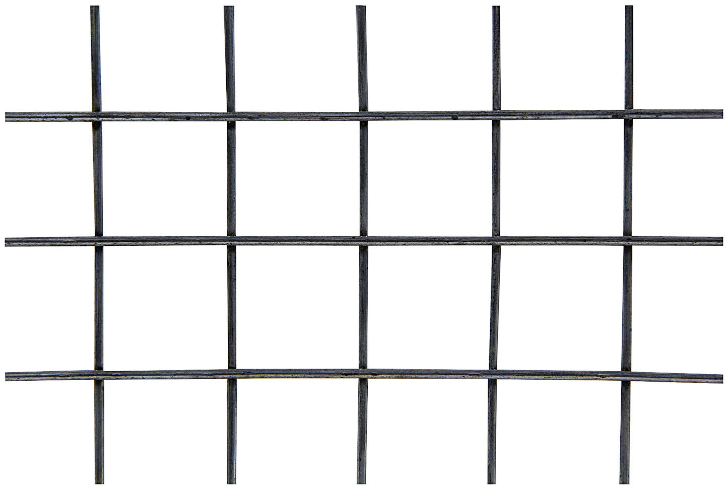 ALL22276.jpg