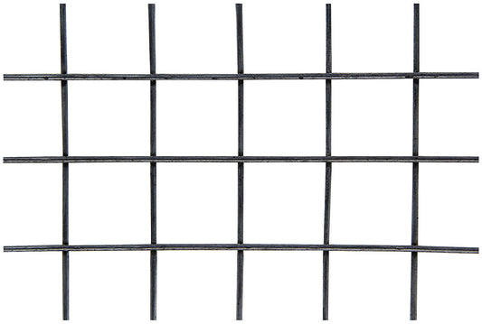 ALL22276.jpg