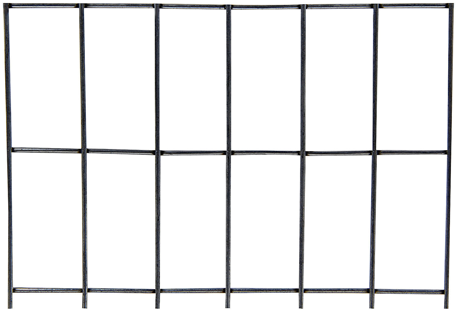 ALL22277.jpg