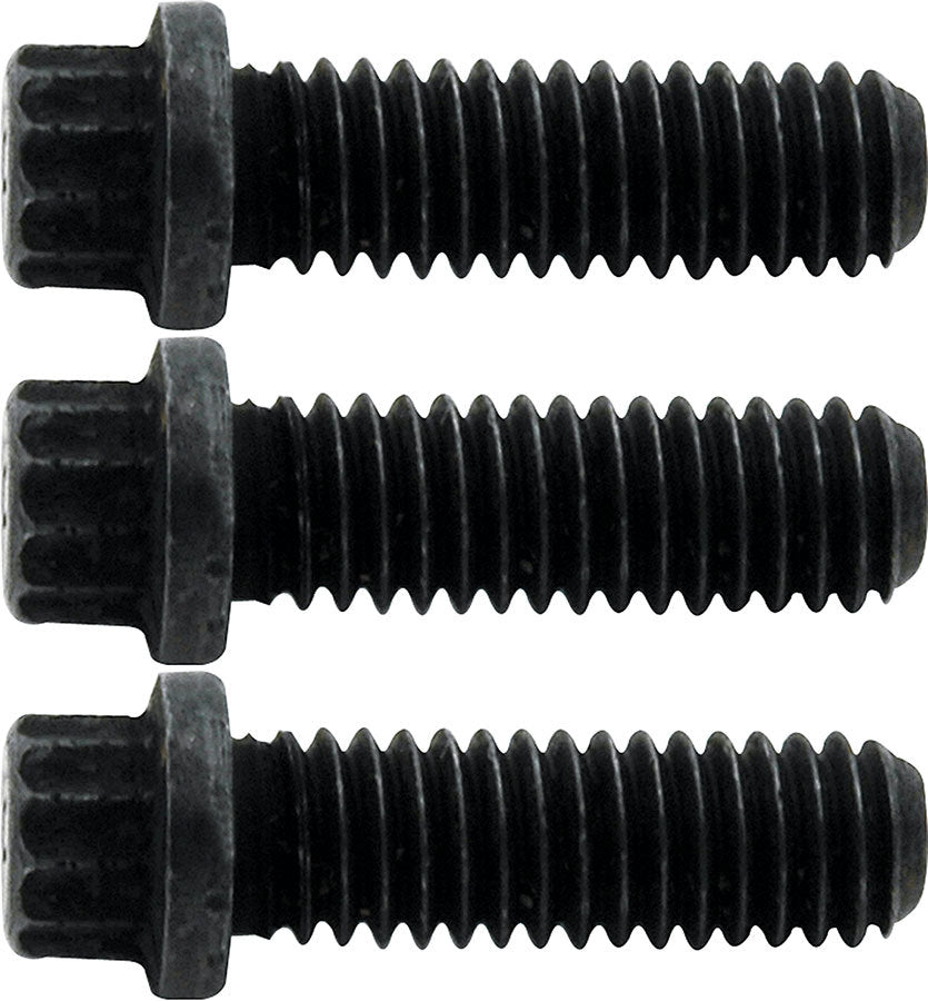 ALL31037.jpg