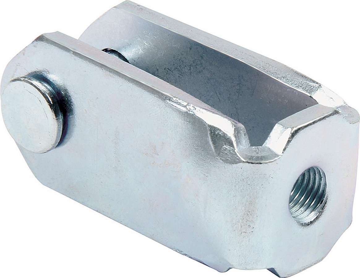 ALL41026.jpg