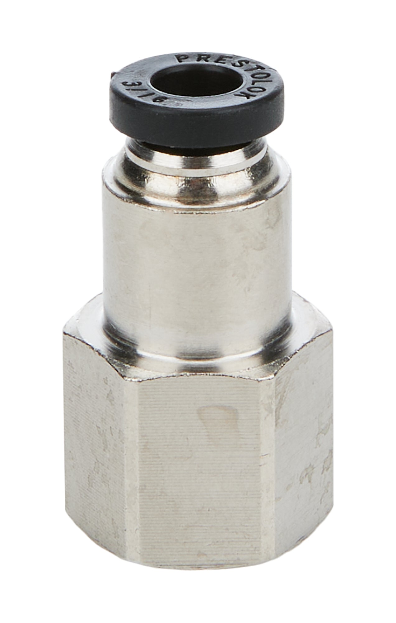ALL48021.jpg