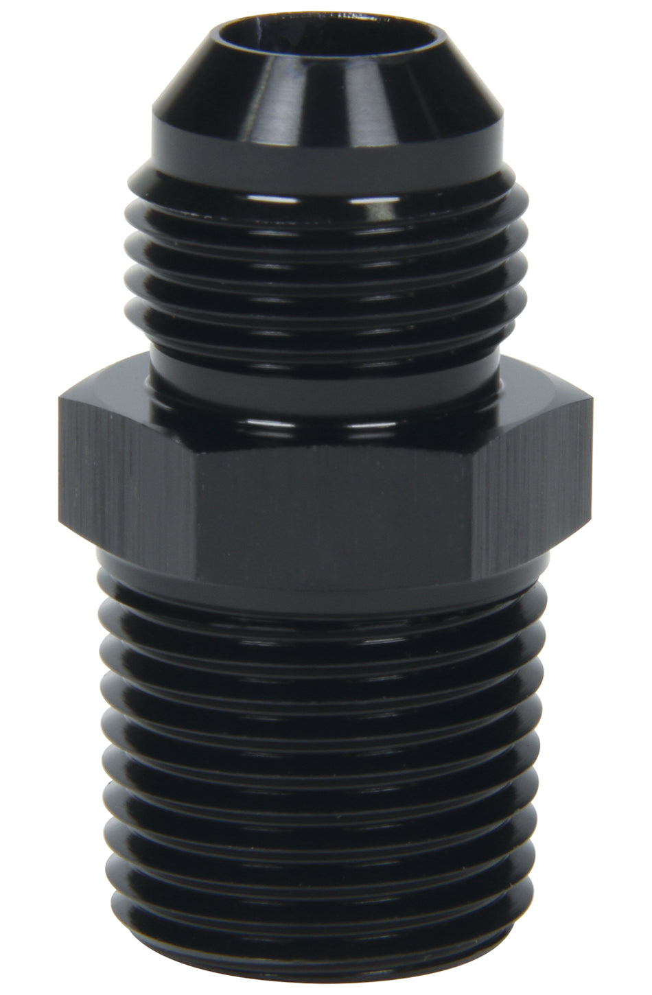 ALL49509.jpg