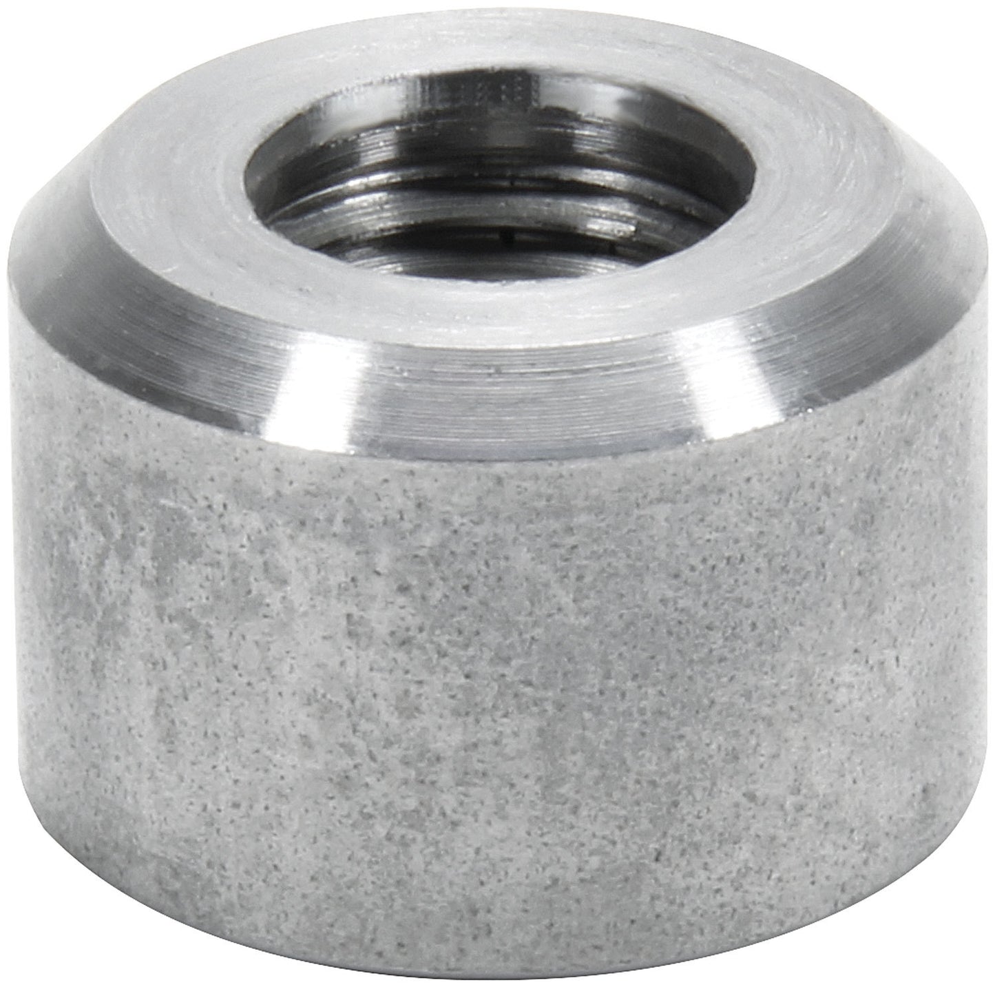 ALL50751.jpg