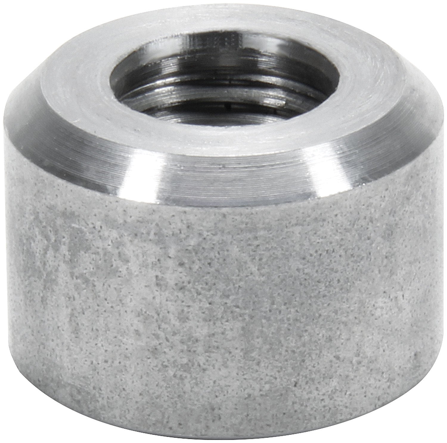 ALL50751.jpg