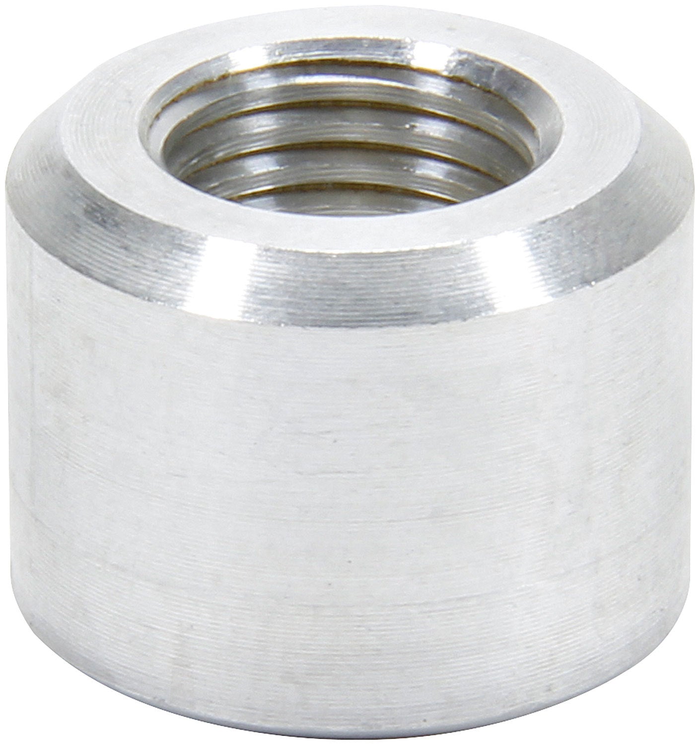 ALL50781.jpg