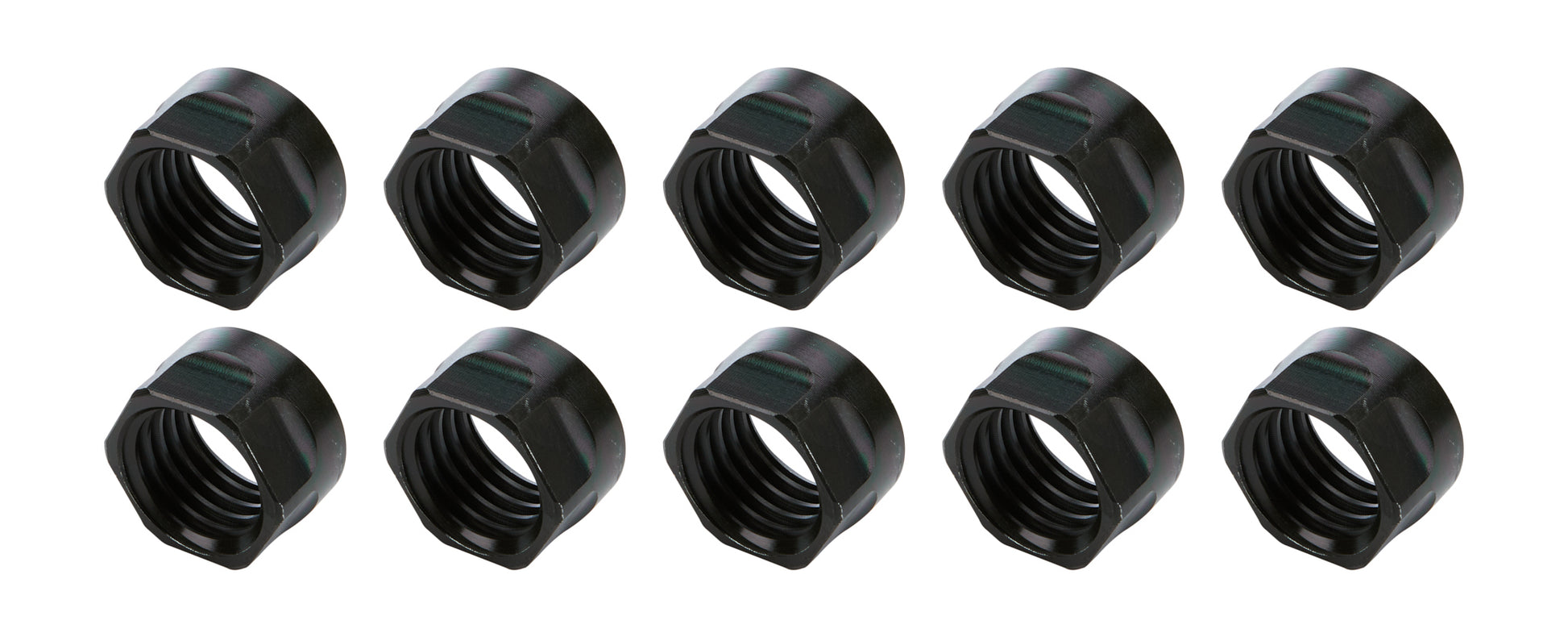 ALL56068-10.jpg