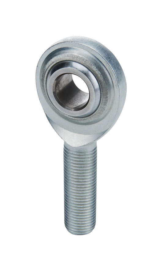 ALL58018.jpg