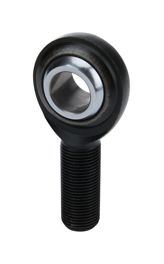 ALL58082.jpg