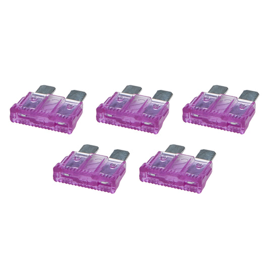 ALL76362.jpg