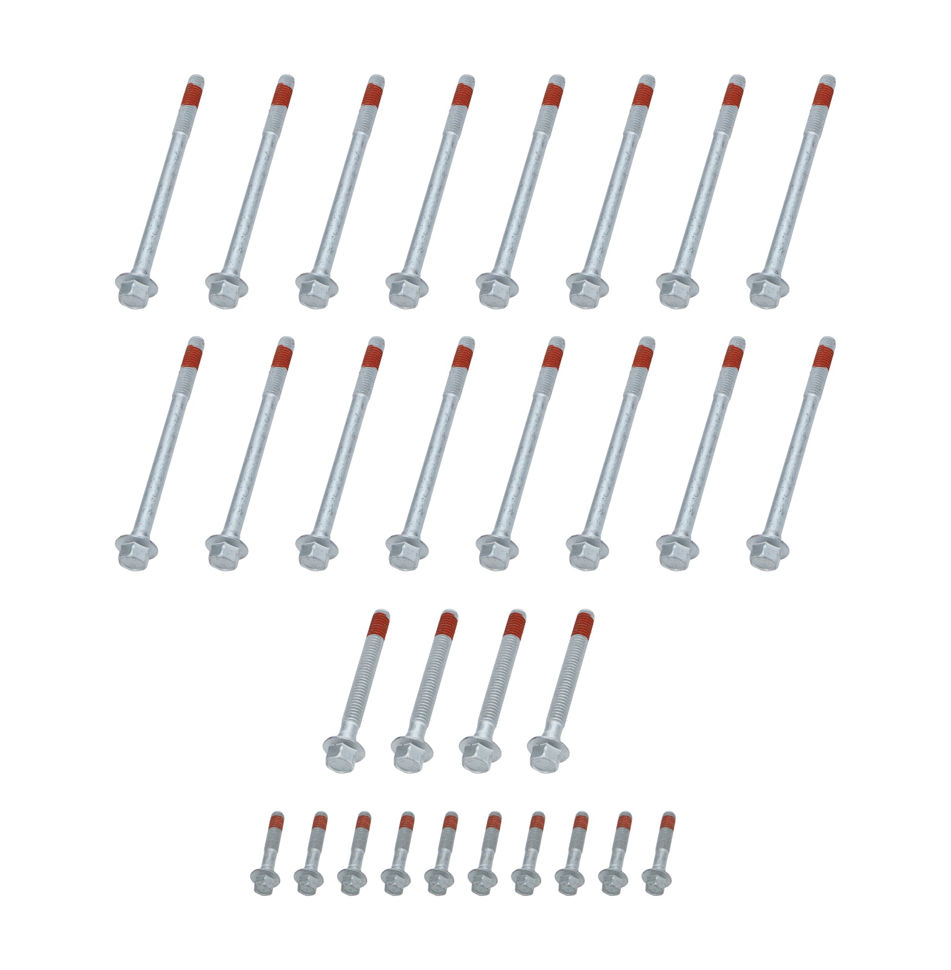 ALL87004.jpg