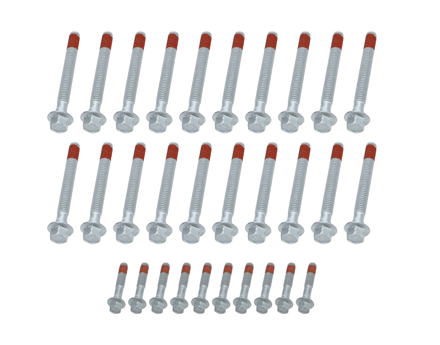 ALL87005.jpg