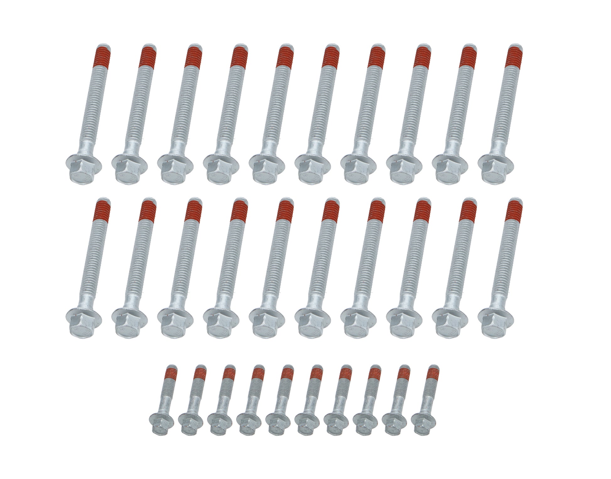ALL87005.jpg