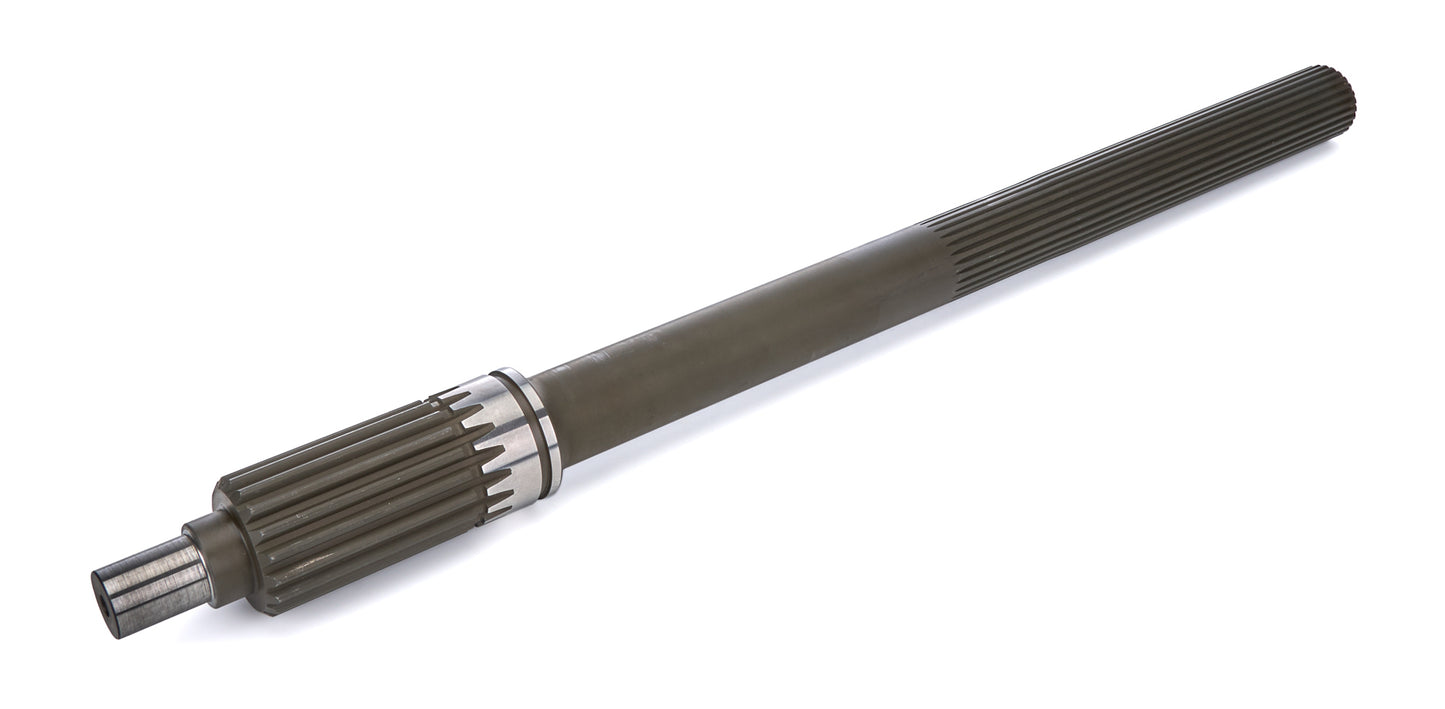 BERSG-1402.jpg