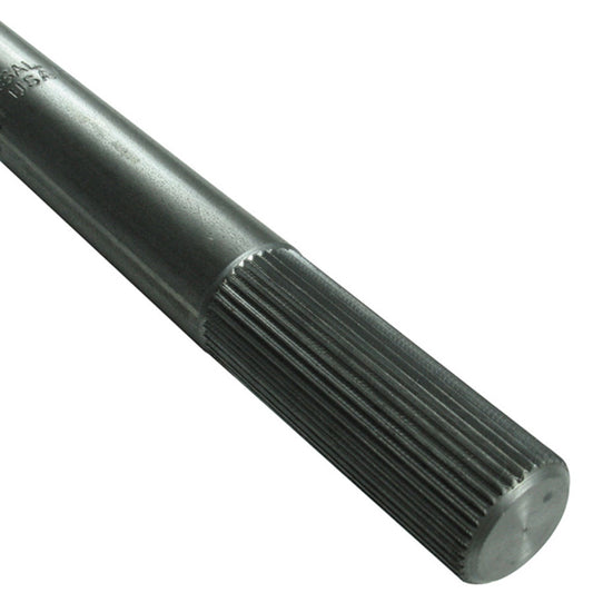 BRG409210.jpg
