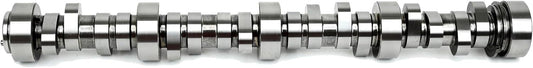 BTRBTR-2240006175.jpg
