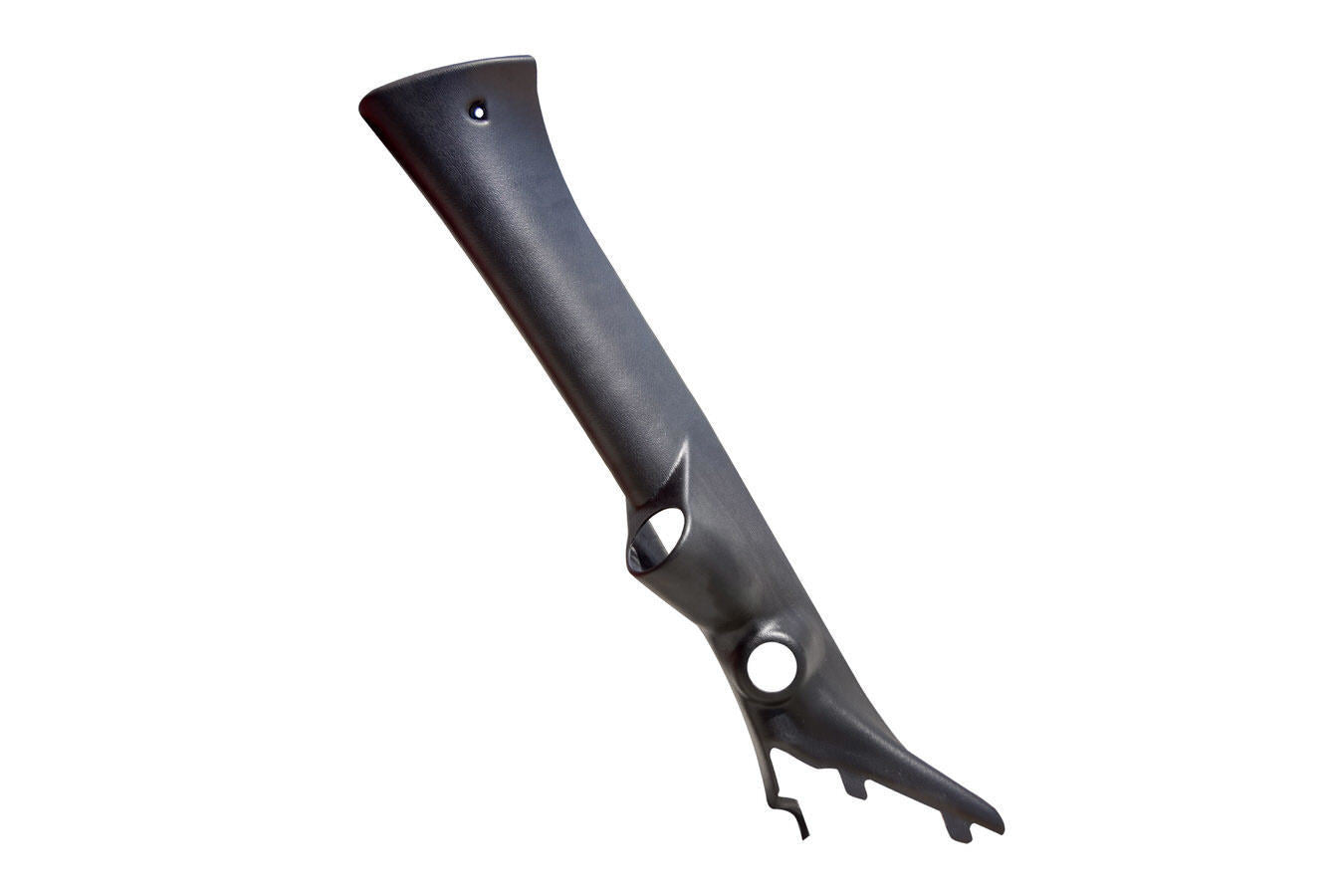BUL31305.jpg