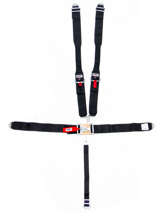 CRW11064-DB.jpg