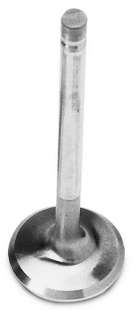 EDE9761.jpg