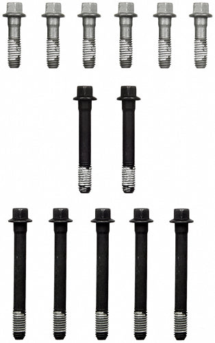 FELES74034.jpg