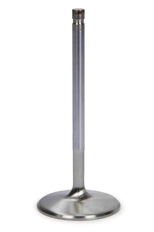 FERF2369P.jpg