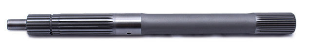 FTIF2517R.jpg