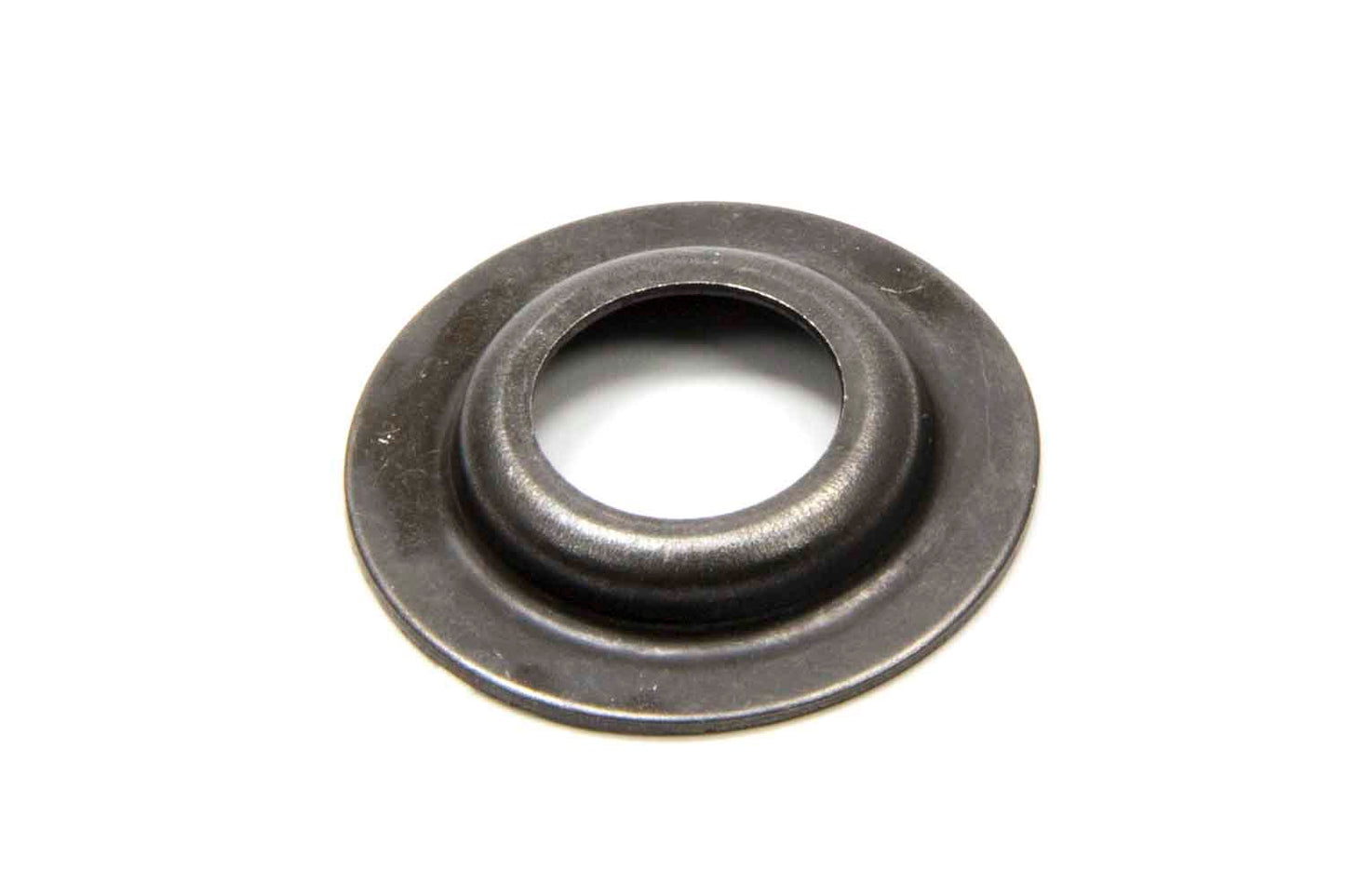 GMP10212809.jpg