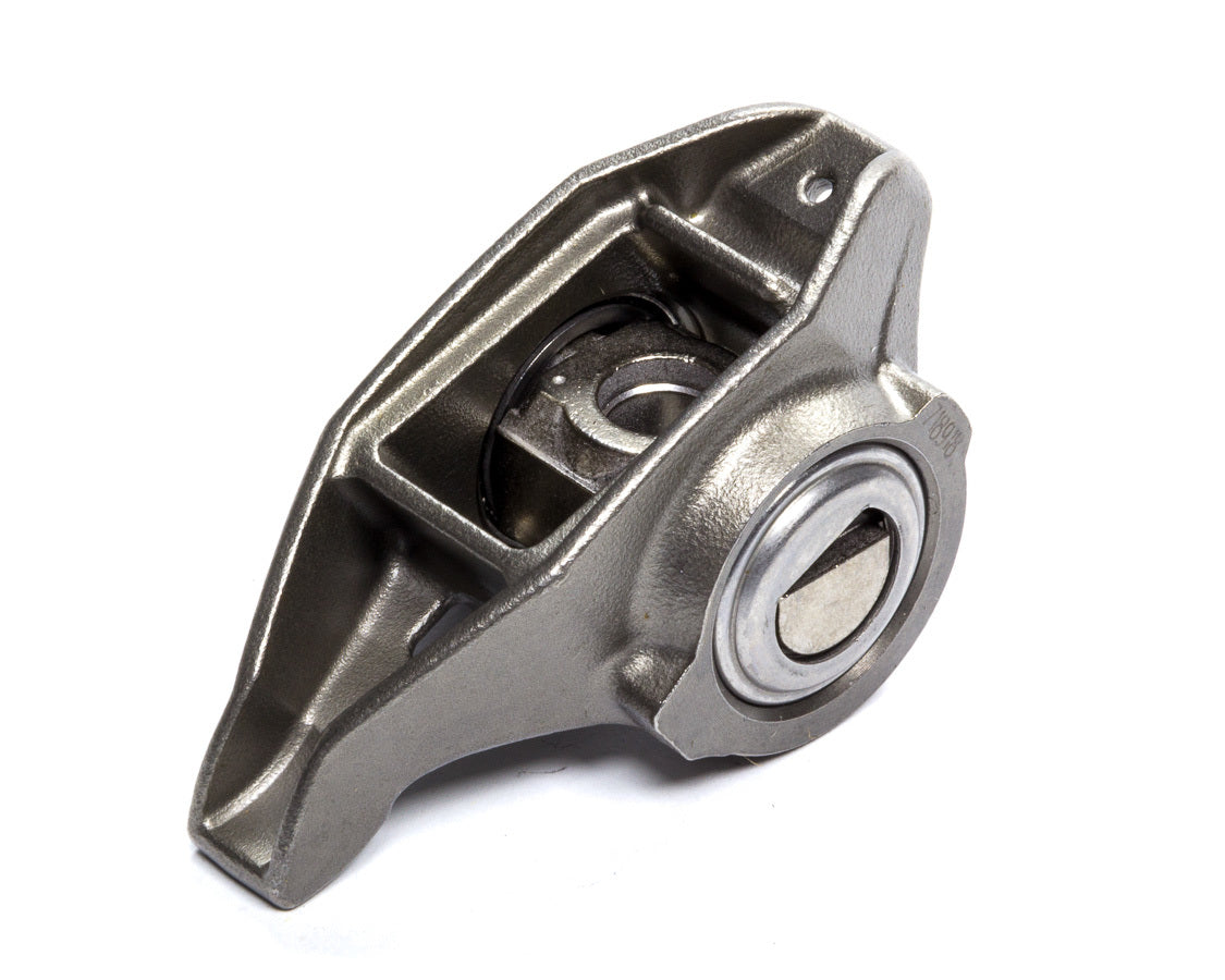 GMP12681275.jpg