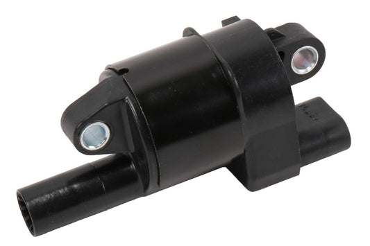 GMP12699382.jpg