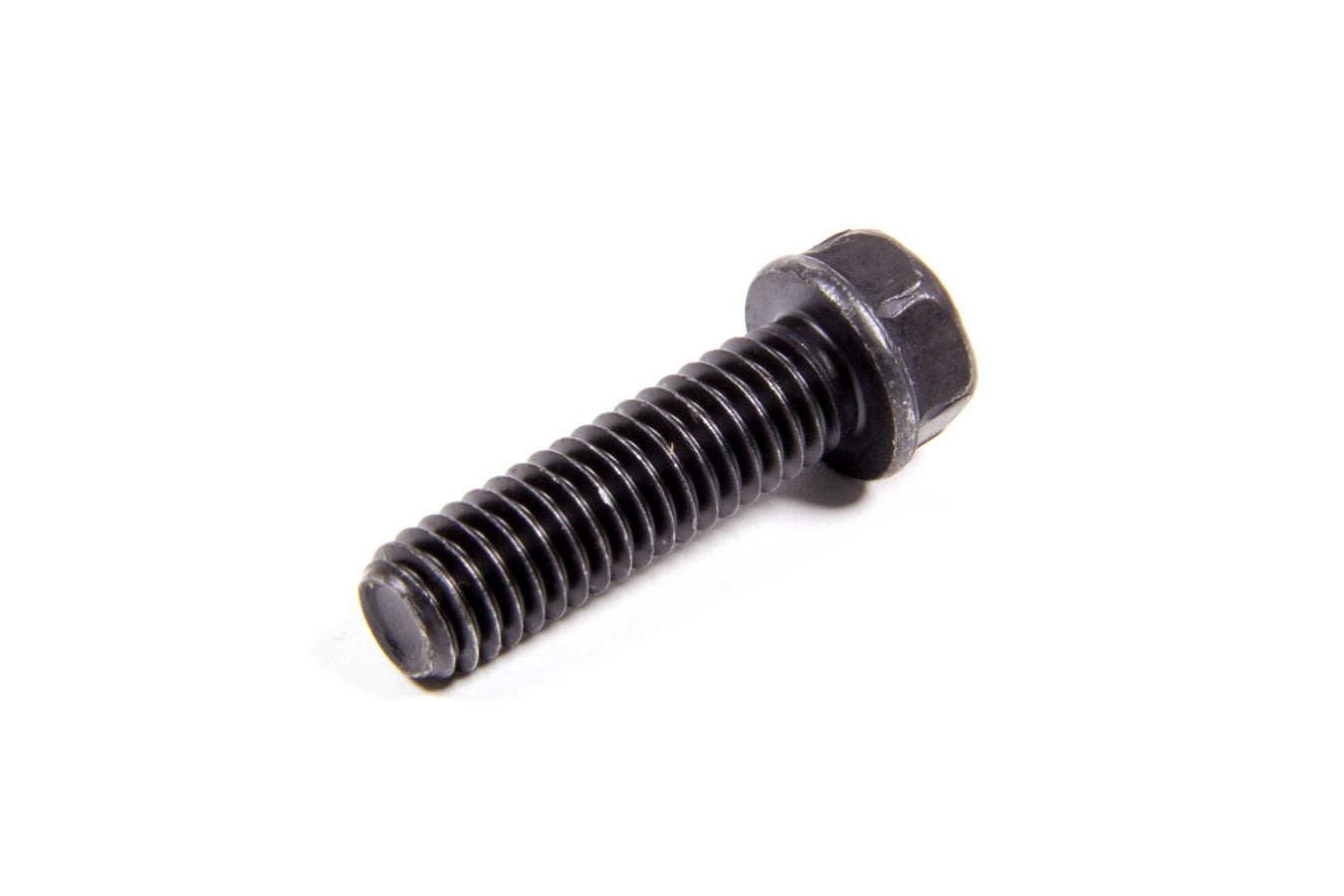 GMP3951644.jpg