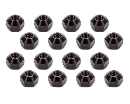 KLU8203.jpg
