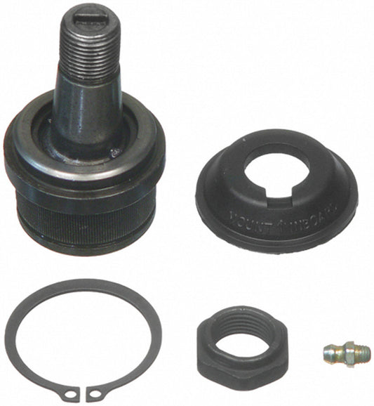 MOGK8195T.jpg