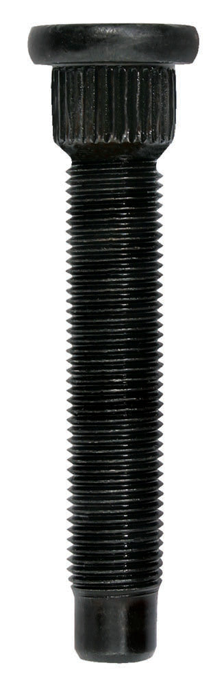 MOR46245.jpg