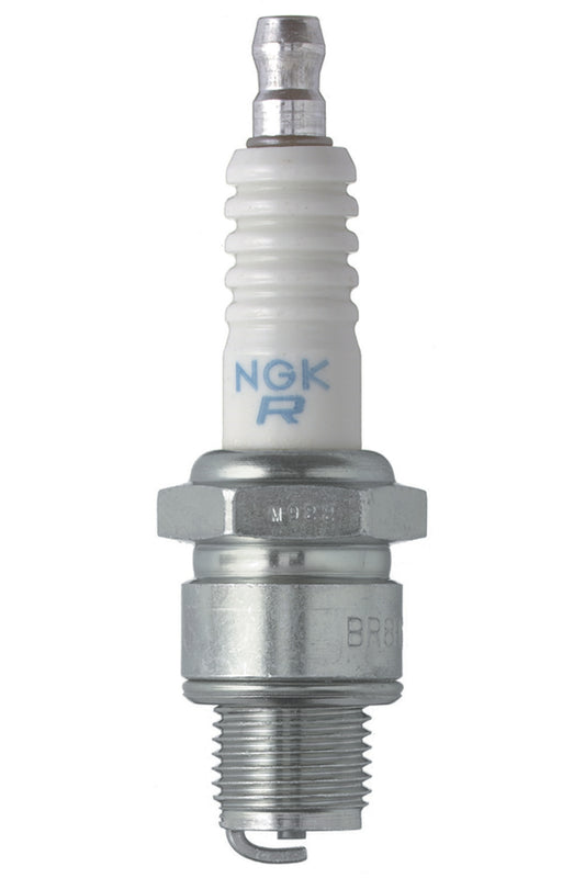 NGKBR8HS.jpg