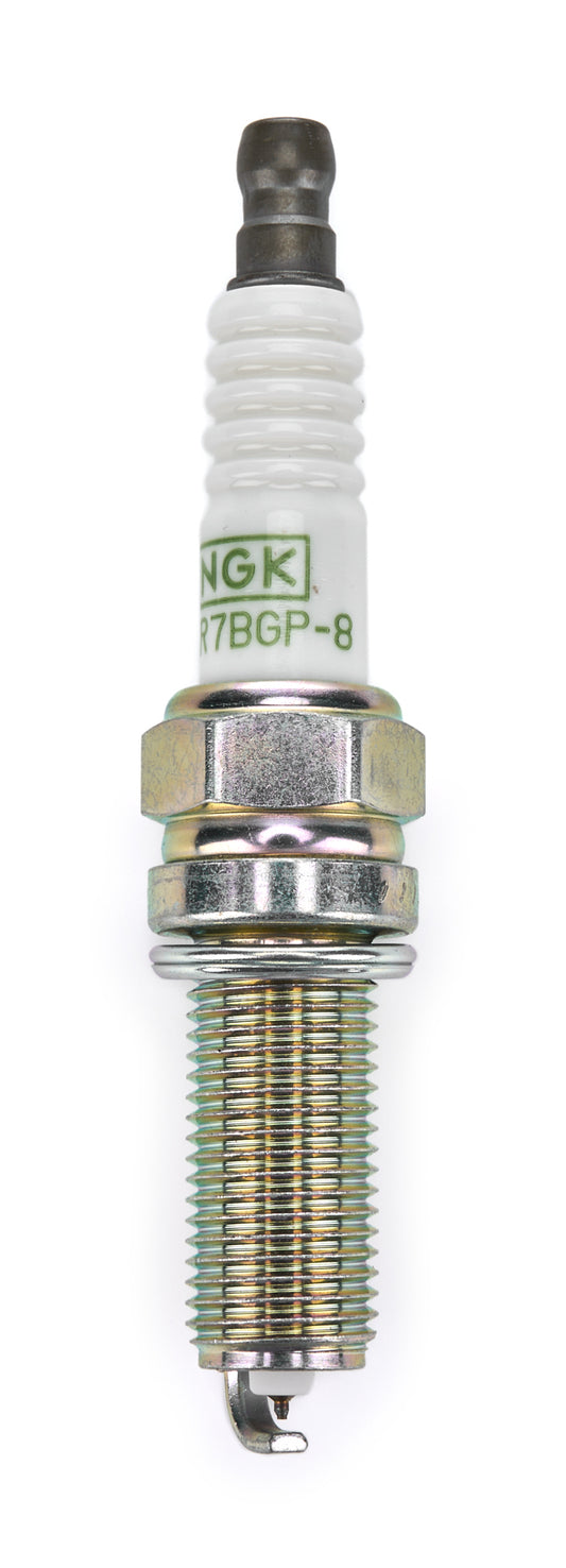 NGKLKR7BGP-8.jpg