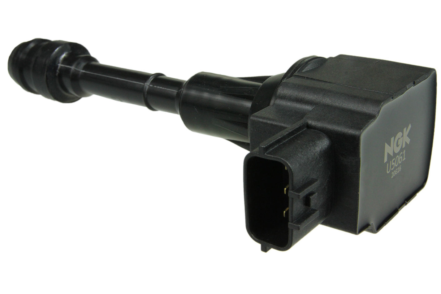 NGKU5061.jpg