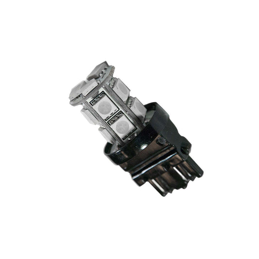 ORA5003-005.jpg