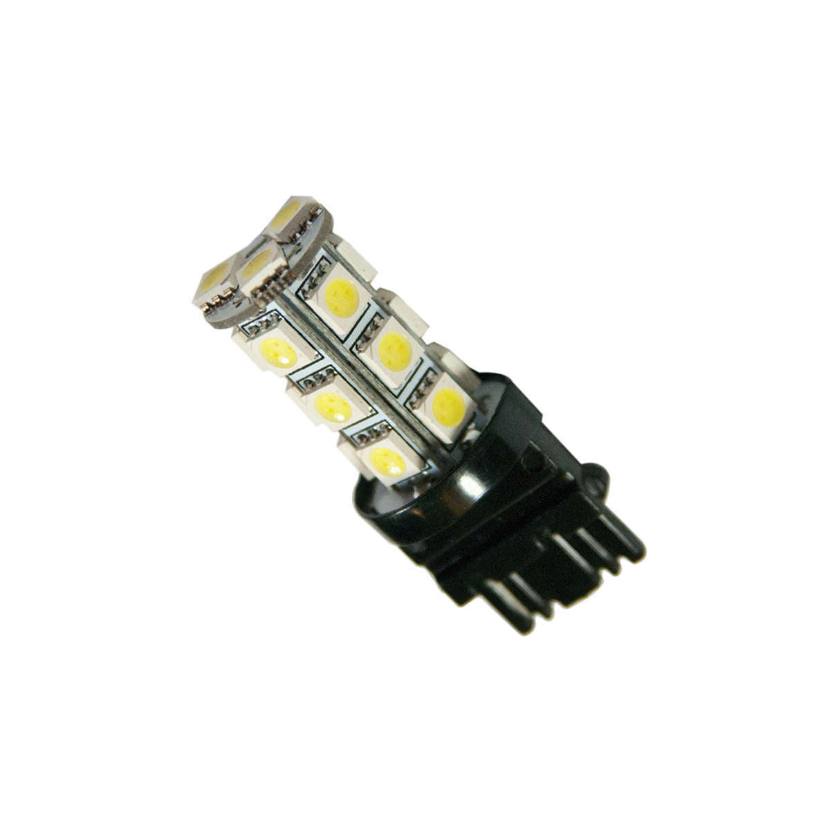 ORA5101-001.jpg