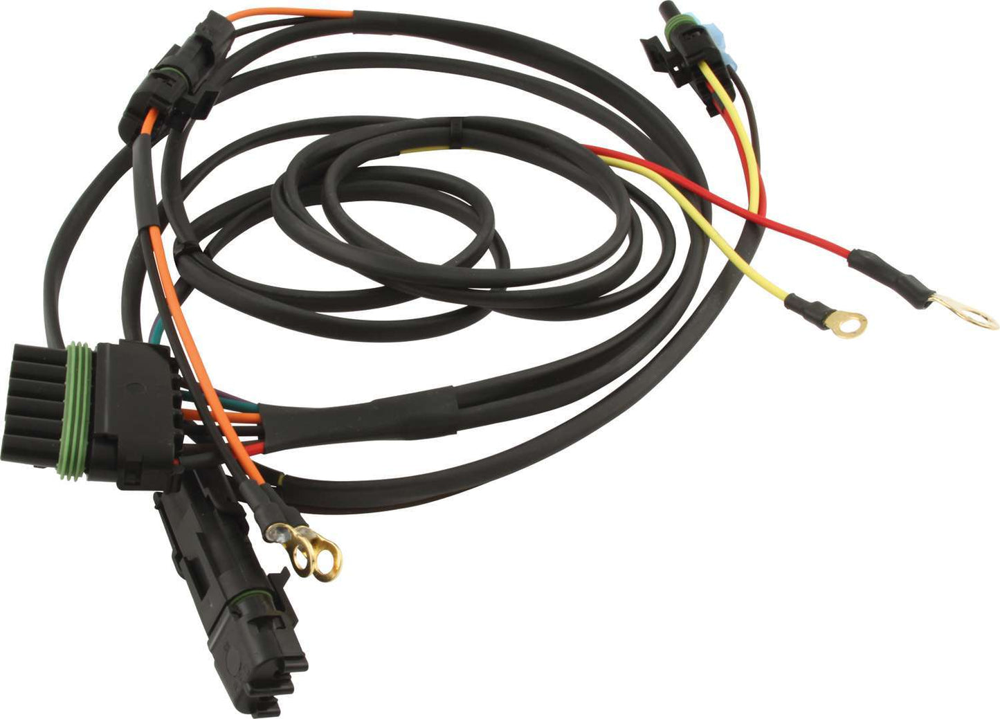 QRP50-2031.jpg
