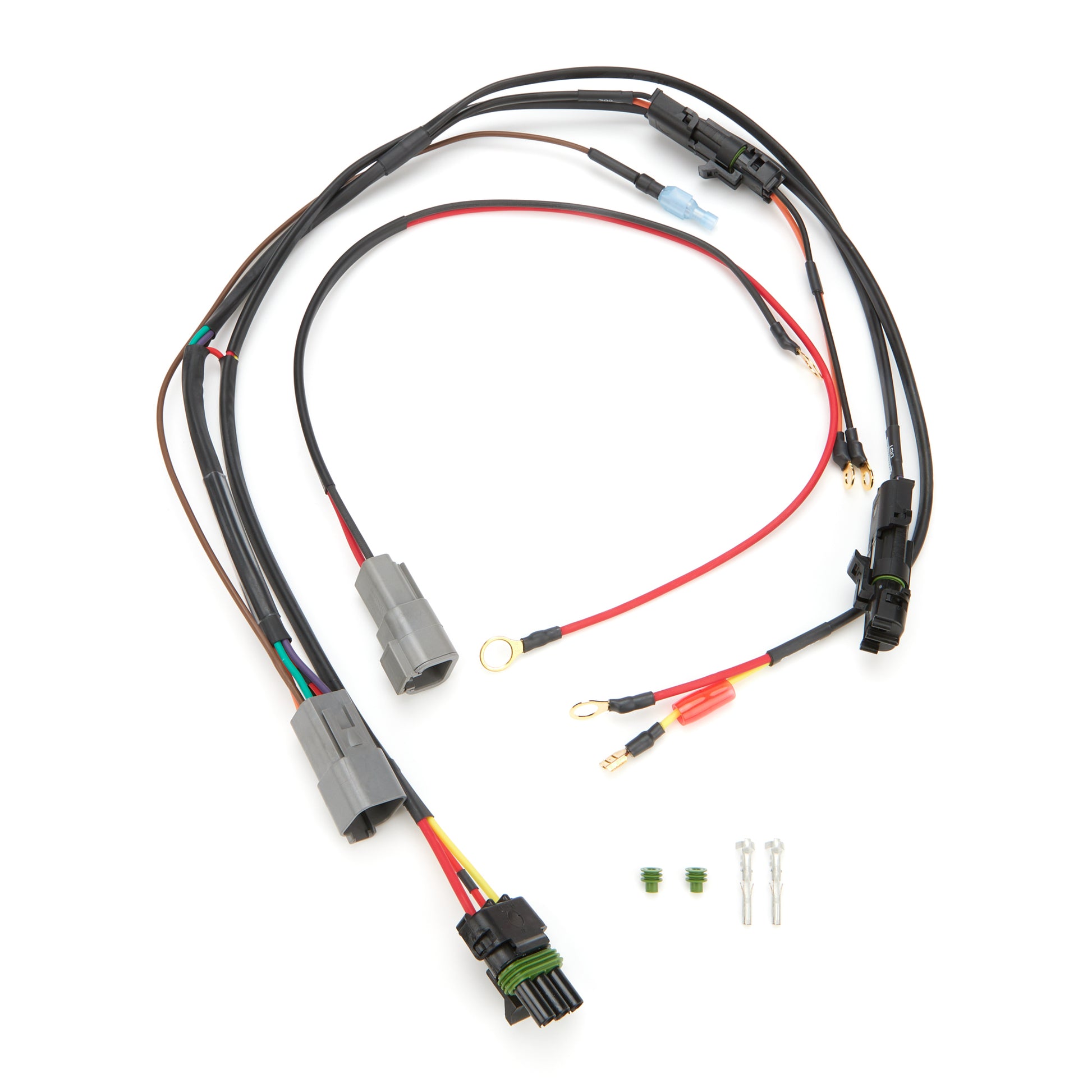 QRP50-2038.jpg