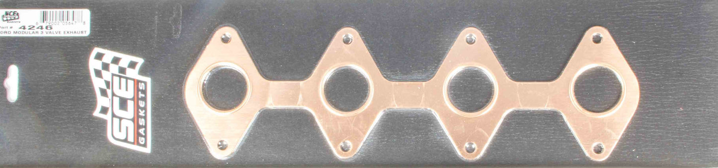 SCE4246.jpg