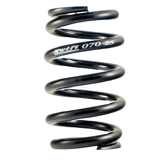 SWI070-250-650B.jpg