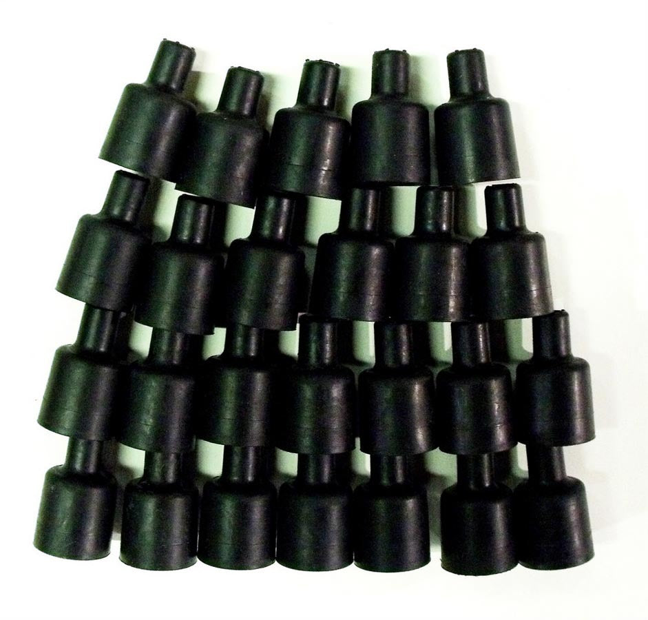 TAY44076.jpg