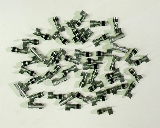TAY44399.jpg