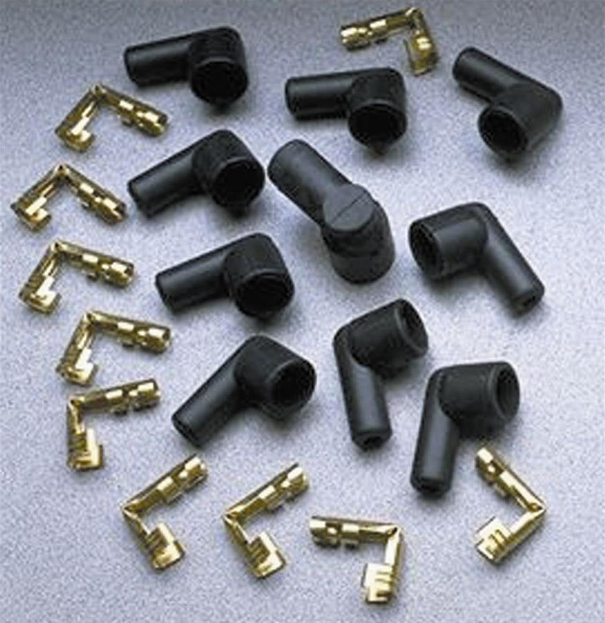 TAY46057.jpg